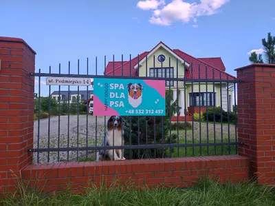 Spa Dla Psa HAPPY DOGGO